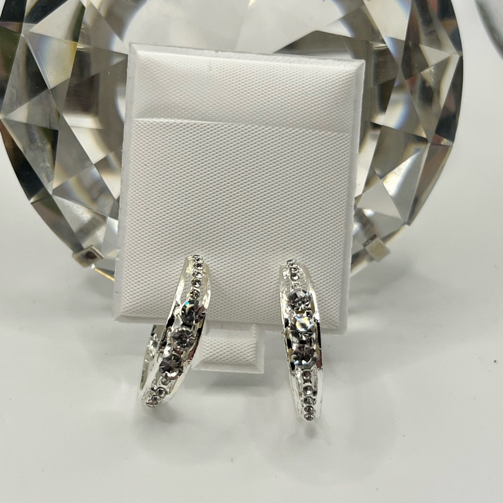 Exquisite Crystal Earrings NEW